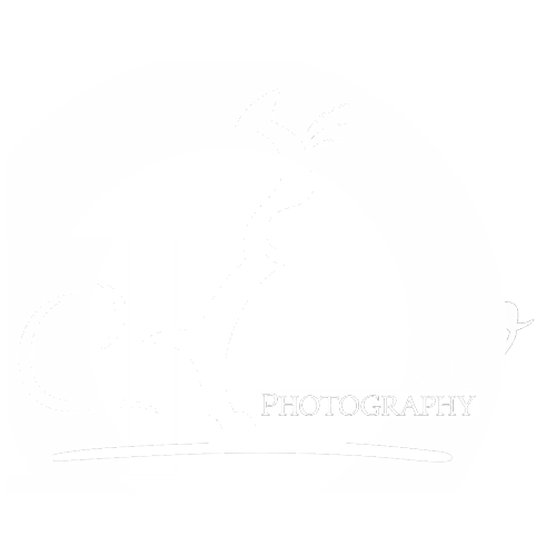 theoandfriends