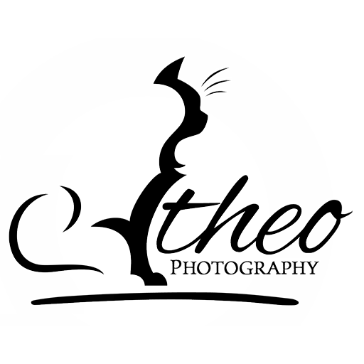 theoandfriends